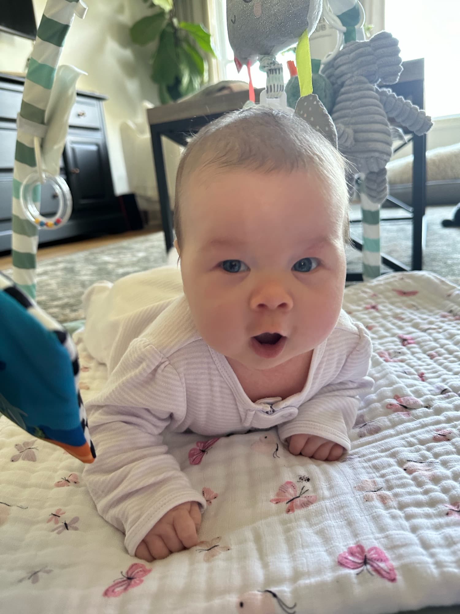 A baby doing tummy time on a butterfly-print blanket under a play gym, a hanging plush elephant above, looking up at the camera.